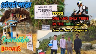 Totopara : The unique Toto Tribe ❤️|| Totopara View Point || Toto People .