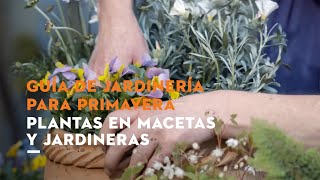 Consejos para plantar en macetas y jardineras durante la primavera