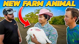 WE BOUGHT Backyard FARM ANIMALS at the EXOTIC AUCTION! ( FLAIRS NEW PROPERTY )