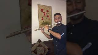 The Last of The Mohicans ( flute cover) by Qaiser Alabri