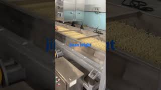 2D3D FRIED SNACKS EXTRUDER TESTING