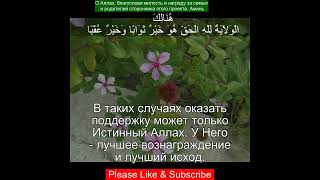 Коран Сура Аль-Кахф |18:44 | Чтение Корана с русским переводом | Quran Translation #quranrecitation