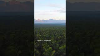 Beautiful view of hills and coconut farm!