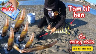 Bắt tôm tít vàng - óc móng tay vá dễ dàng với một gói muối | nail catching | khám phá biển tv