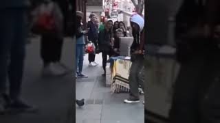 Bird dances to Blurred Lines w/ busker