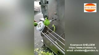 Машина для снятия кожуры с хурмы