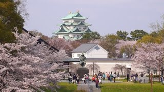 桜 「名古屋城」