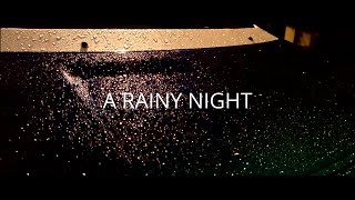 A rainy night in December 2020 (cat version) | Cinematic short film