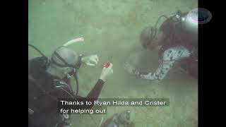 Entangled Marine Life rescue