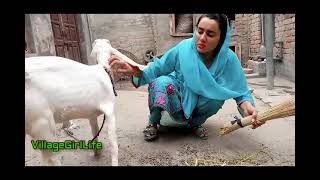 Ghar ki Saffai II گھر کی صفائی  II VillageGirlsLife