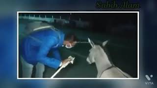 पत्रकार ने कहा मस्क नहीं पहनने वाले गदहा #funnyvideo #Status #Viral