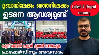 ഇപ്പോൾ വന്നിരിക്കുന്ന ഏറ്റവും നല്ല ഒഴിവുകൾ|Dubai jobs 2022|Gulf jobs 2022|Jobs for freshers|new jobs