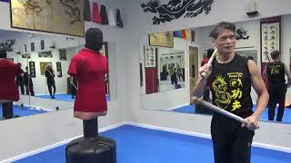 Kung Fu Double Stick Cobra Form Training