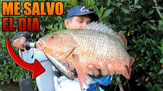 ESTE SEÑUELO ME DIO MI MEJOR PESCA DEL DIA! | Lupe Lofish