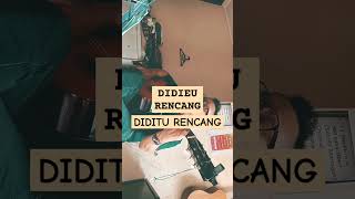 LAGU  DIDIEU RENCANG DIDITU RENCANG@sahatmaringan6118 CHANNEL