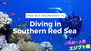 [ダイビングの旅 ]紅海ダイビングクルーズ2021 [English sub] Red Sea Aggressor III St.Johns & Daedaulus