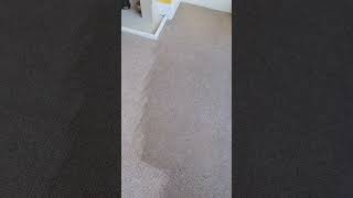 Plymouth Carpet Cleaners #cleaning #cleaner #carpetcleaner #carpetcleaners #carpetcleaning