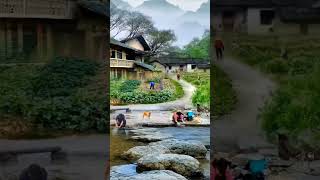 Desa yang indah, suasana sejuk alami#nature #village  #scenery