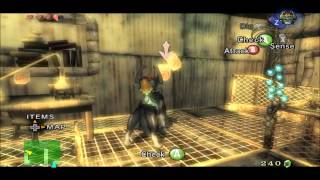 The Legend of Zelda: Twilight Princess (HD) - Part 20 - Filling the vessel