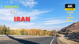 Iran 4K - autumn in roads - autumn season