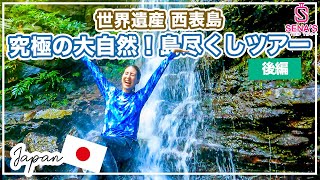 【西表島究極の大自然ツアー】暗闇の先に絶景が待つ洞窟から山奥に潜む滝まで...目から鱗だらけの島尽くしツアー【後編】