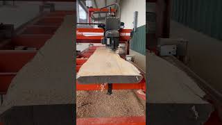 MB100 slab flattener in action! #sawmill #woodmizer