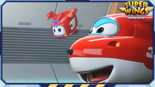 ✈[SUPERWINGS5] Superwings S5 Full Episodes Live | Super Wings Compilation✈