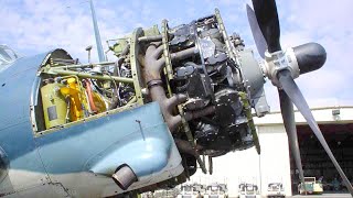 Great OLD WW2 PROPELLER Airplane Engines Cold Start and Heavy Sound 5