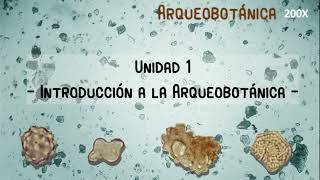 Unidad 1: Introducción a la Arqueobotánica