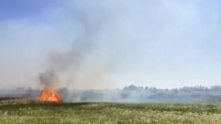 Grass fire burning near County Line Road near #longmont. @Timescall #cofire