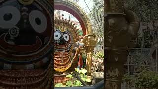 Jai Jagannath⭕‼️⭕#shorts#viral#video#status#rath#yatra#jaijagnnath🙏🙏🚩🚩