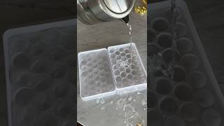 ice tray refill🍍#icerestock #icetrayrefill #asmrice #organization #restock #kitchen #kitchengadgets