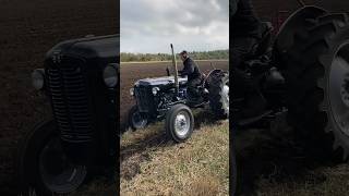 Massey Ferguson 35x diesel - Black Edition