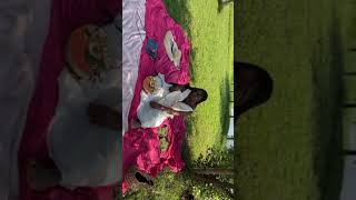 I went picnicking  with Kampari tours