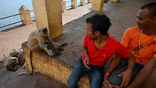 बन्दर से लड़के ने हाथ मिलाने की कोशिश, बन्दर ने खुजाके दिखाई आँख, #Monkey Funny Video #Bandar #langur