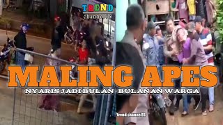 MALING APES NYARIS JADI BULAN-BULANAN WARGA‼️aksi nekat pelaku berakhir apes saat kepergok warga