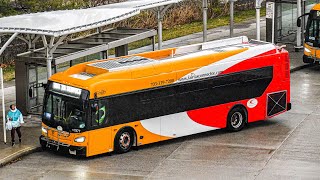 Fairfax Connector 2022 Brand New Flyer Xcelsior XD35s 7877 & 7879 departing Vienna Metro Station!