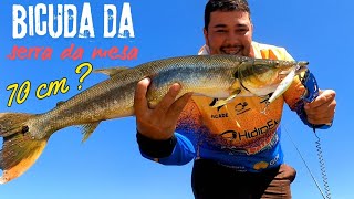 pescaria no serra da mesa de bicuda e tucunaré 🎣