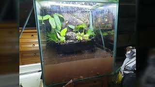 Setup paludarium building