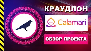 CALAMARI ОБЗОР АУКЦИОН КРАУДЛОН ПАРАЧЕЙН KUSAMA | CROWDLOAN | РАЗБОР