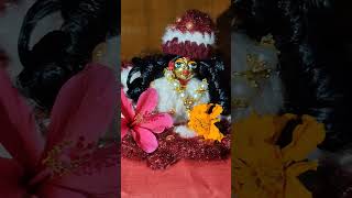 Prabhu🙏#viral#viralvideo#viralshorts#trending#trendingshorts#kanha#krishna#radheshyam#vrindavan#love