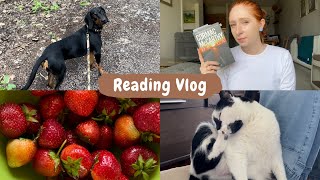 Reading vlog - czytam Drogę