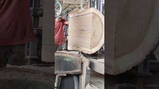 Tree trunks are transformed into beautiful boards #tree trunks #machine saws