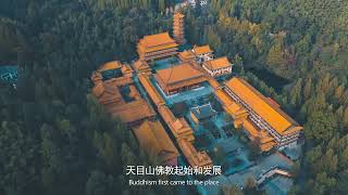 My Hangzhou Stories：Why should you visit Tianmu Mountain?