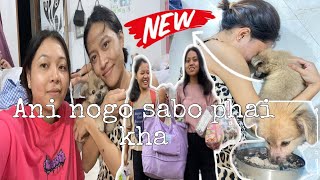 NEW PAPPY🐕 IN THE HOUSE || Inviting my friends for dinner🍽️ || Daily Vlog @juth's diaries