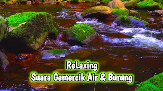 Relaxing Suara Air dan Burung syahdu