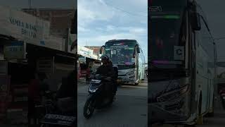 BUS EAGLE HIGH "SHE BEDUL" #teloletviral #busmania #shortvideo #basuri #buspariwisata #bus