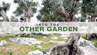 Into The Other Garden - Joey Bonifacio