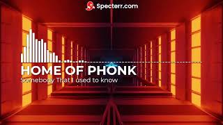 Somebody That You Used to Know #phonk #memes #sigma