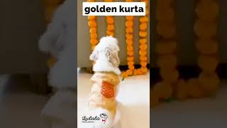 Dog Festive Season Clothes by Lulala- Perfectly Imperfect #youtubeshorts #lulalaindia #dogclothes